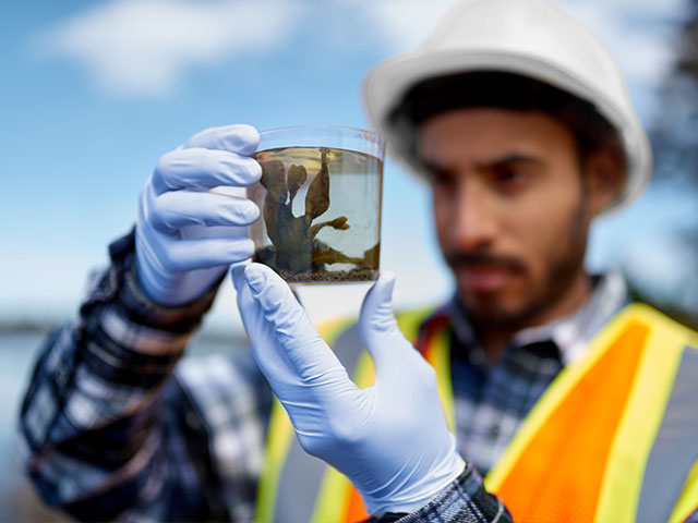 Environmental scientist inspecting watre sample