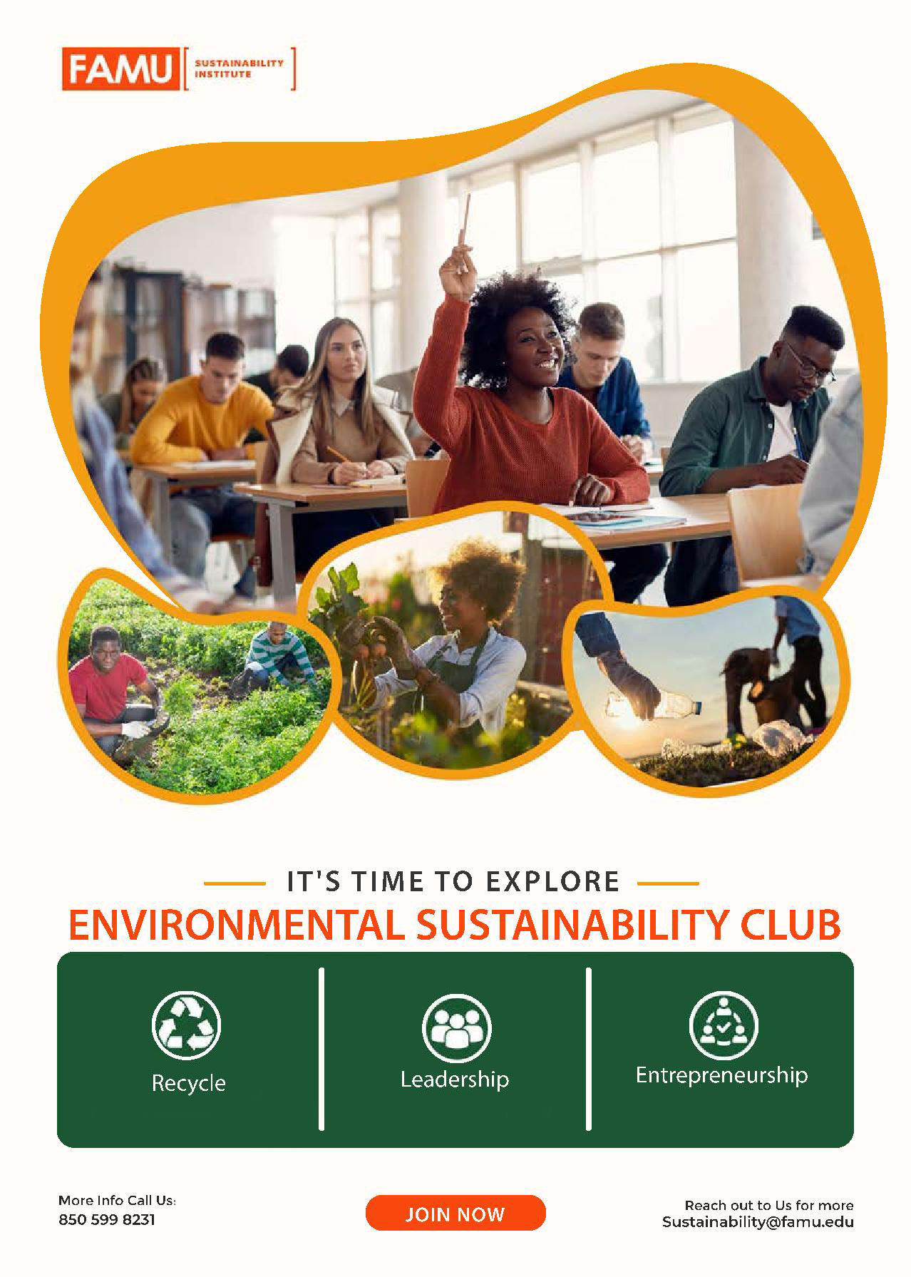 The Sustainability Club